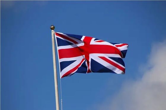 LCL shipping China Sea Freight Services To The UK International