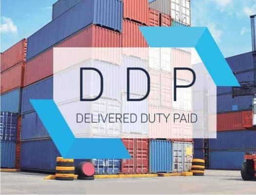 DDP DDU Full Container Load Ocean Freight From China To Singapore