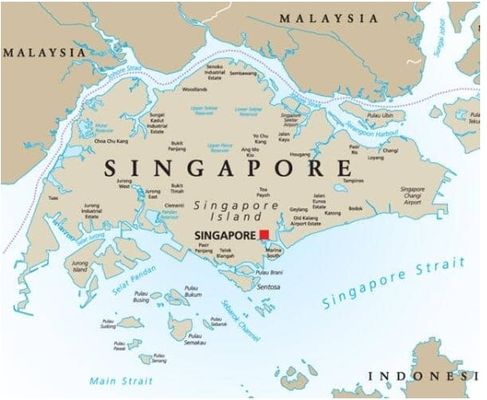 DDP DDU Full Container Load Ocean Freight From China To Singapore