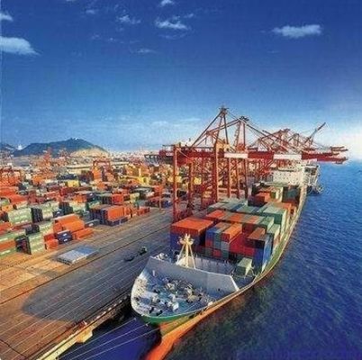 DDP DDU CLC PLC  China Sea Freight Services To Oman 30-45 Days