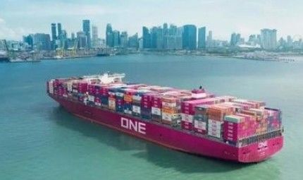 DDP DDU CLC PLC  China Sea Freight Services To Oman 30-45 Days