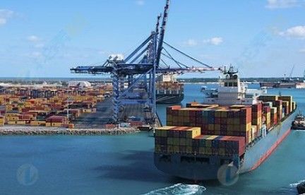 LCL shipping China Sea Freight Services To The UK International