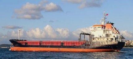Full Container China Sea Freight Services safe FCL Shipping