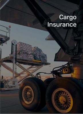 International Cargo Insurance Service  timely Security protocols