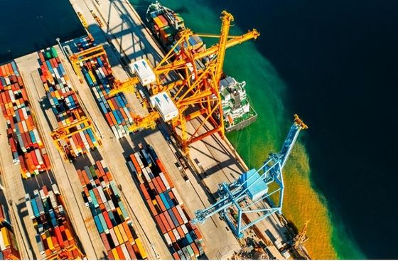 International Cargo Insurance Service  timely Security protocols