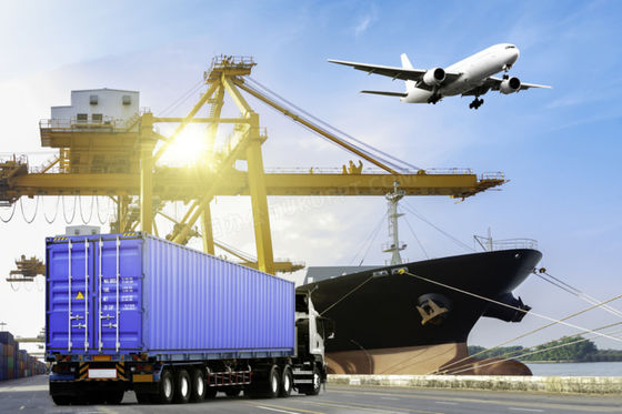 Provide professional global logistics services