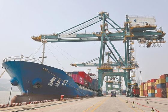 Pure Battery Sensitive Goods International Freight From China to Dubai Iran Qatar Oman By Sea Freight FCL LCL