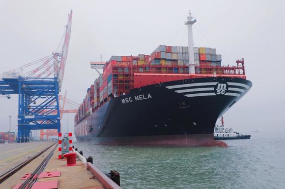 Pure Battery Sensitive Goods International Freight From China to Dubai Iran Qatar Oman By Sea Freight FCL LCL