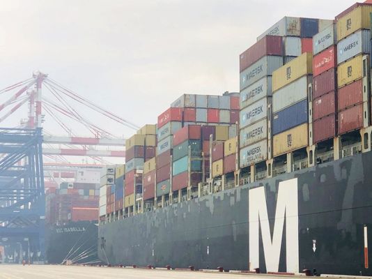 Pure Battery Sensitive Goods International Freight From China to Dubai Iran Qatar Oman By Sea Freight FCL LCL