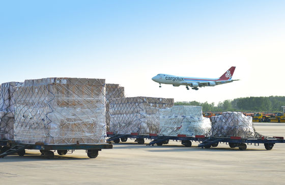 Provide Professional Global Logistics Services