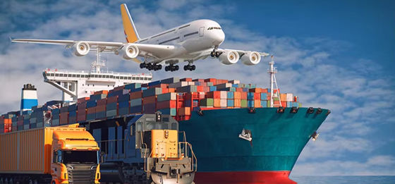Freight Forwarder USA/Canda/Europe/Middle East Sea Shipping China DDP Delivery Door-to-door