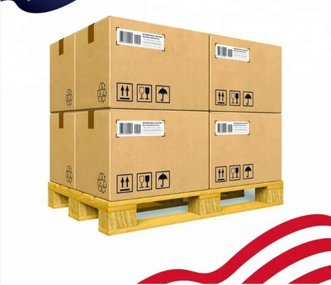 Freight Forwarder USA/Canda/Europe/Middle East Sea Shipping China DDP Delivery Door-to-door