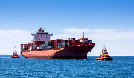 Door to Door DDP DDU Sea Shipping Services China to Germany /France/Netherlands/Sweeden/Swiss