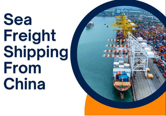 Cheapest Shipping Agent From China To USA Canada Europe Sea Professional Logistics Services Freight Forwarder Company