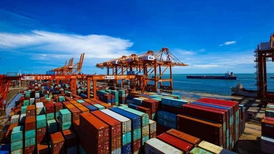 Sea Shipping Service Sea Freight Forwarder from China to USA UK Europe Canada Australia Express Shipping Logistics