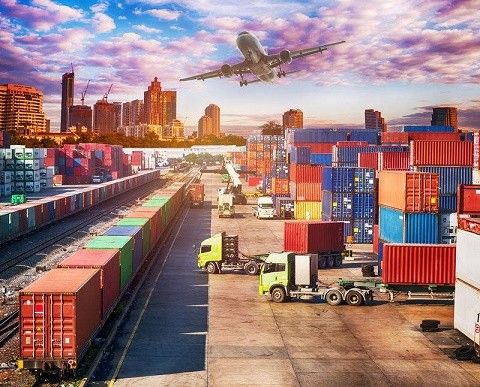 Sea Shipping Service Sea Freight Forwarder from China to USA UK Europe Canada Australia Express Shipping Logistics