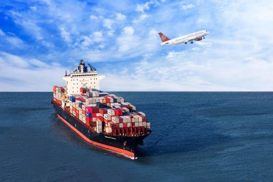 Professional Door To Door Sea Freight Forwarder Sea Shipping Agent China To USA Canada Mexico