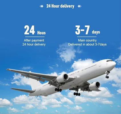 Fastest Ocean Transporter Freight Forwarder Logistics Services in Jakarta Indonesia