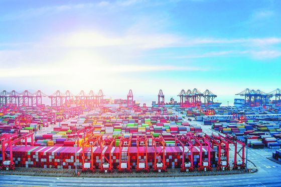Professional Door To Door Sea Freight Forwarder Sea Shipping Agent China To USA Canada Mexico